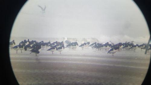 0.003503_snowmobile _ snowmobile_0.5200631.jpg