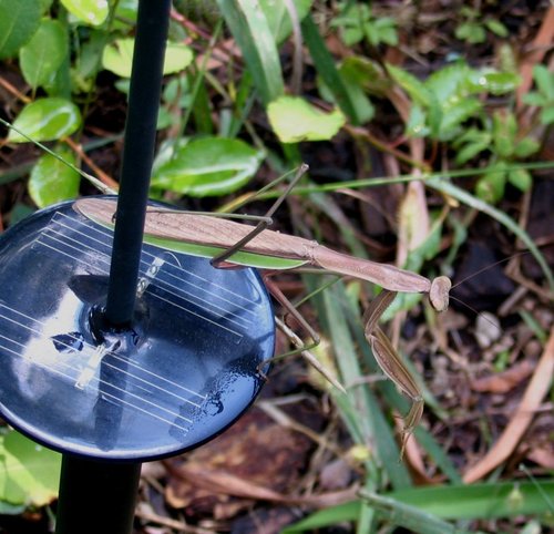 0.000522_sundial _ sundial_0.96381366.jpg
