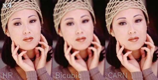Comparing Bicubic upscaling against the models x4 upscaling on Set5 Image 4 Comparing Bicubic upscaling against the models x4 upscaling on Set5 Image 4