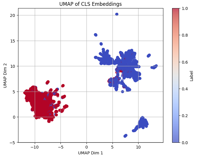 Placeholder for CLS Embeddings Visualization