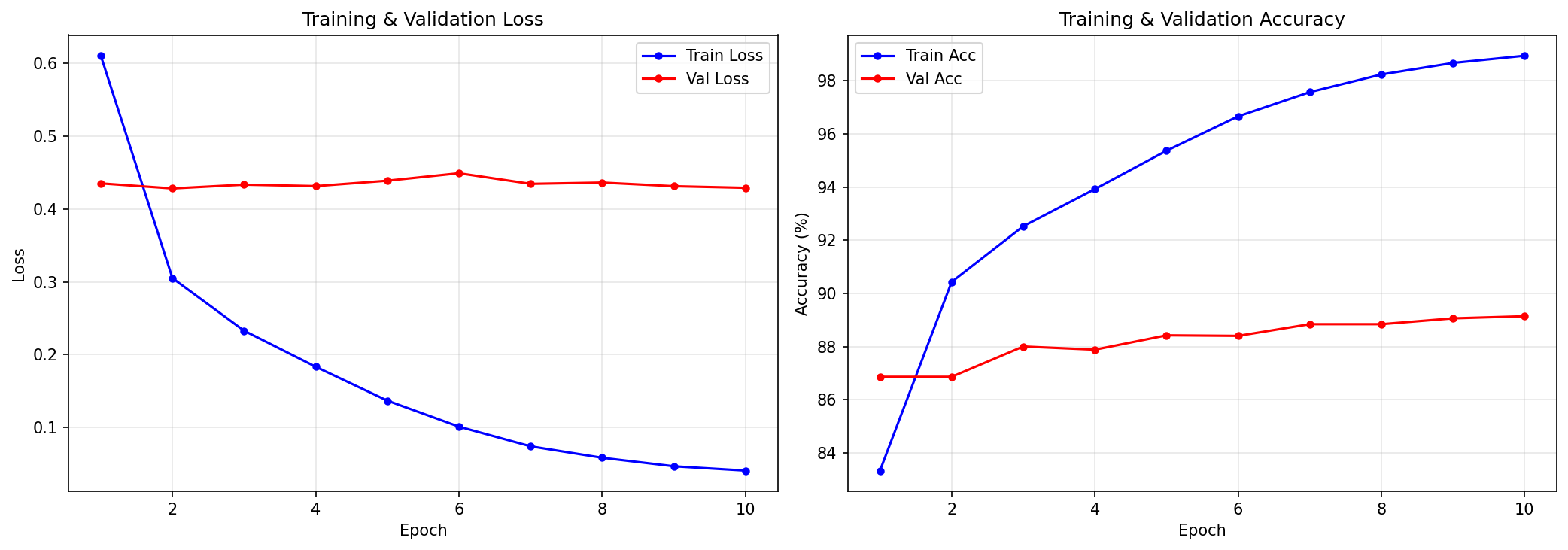 Training Curves