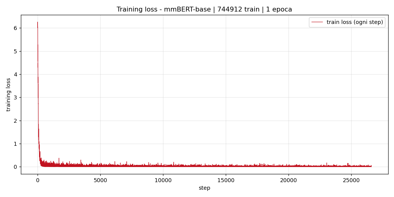 training loss curve