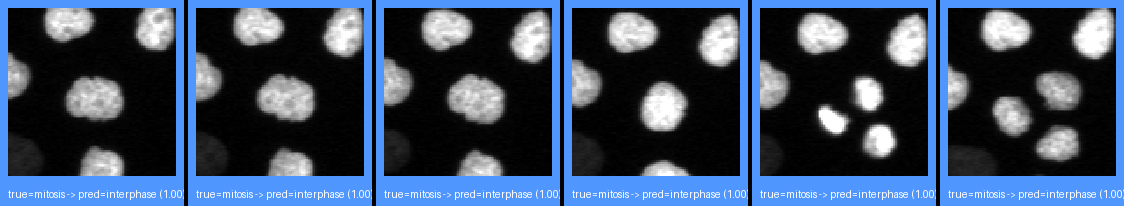 miss_mit2int_0.png