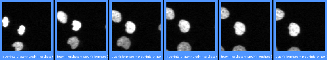 ok_interphase_0.png