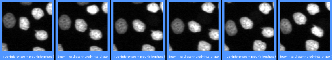 ok_interphase_1.png