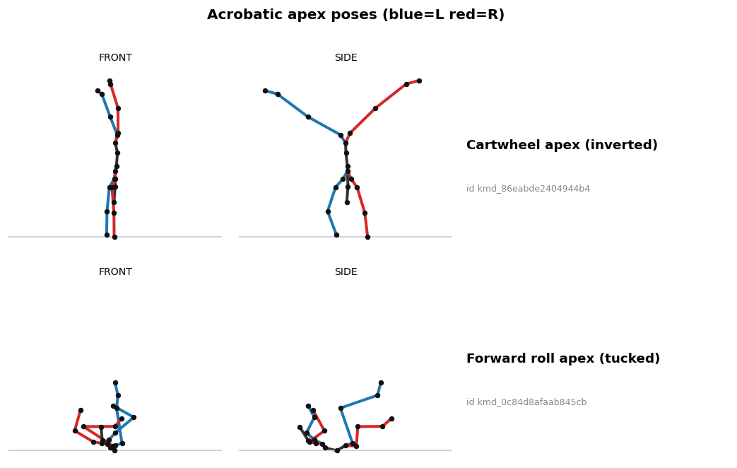 acro_stances_verify.png