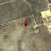 plume1.png