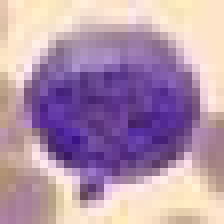 bloodmnist_sample.png