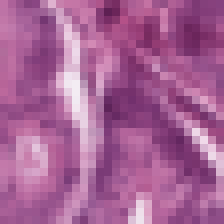 pathmnist_sample.png
